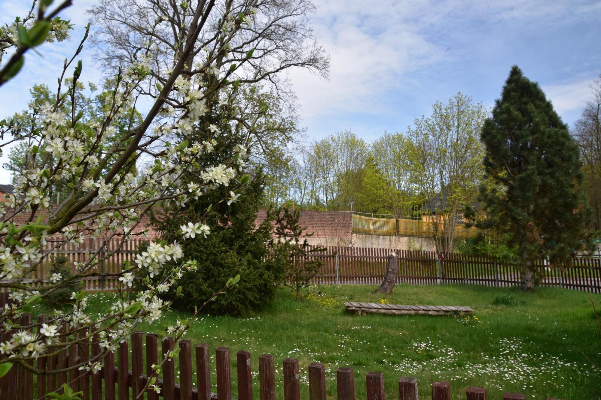 Ferienwohnung Und Pension "Zur Aue" Konigsbruck Exterior foto
