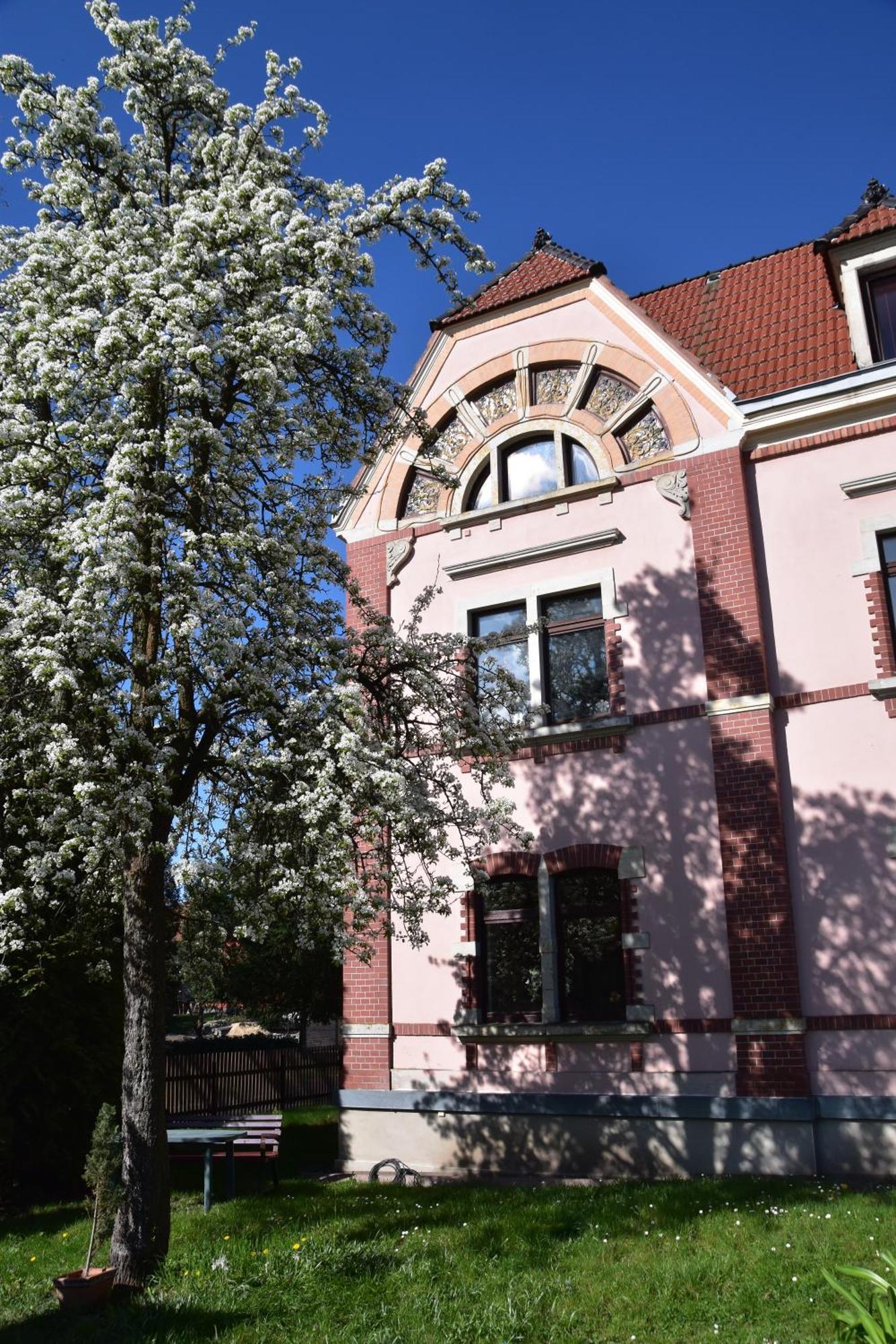 Ferienwohnung Und Pension "Zur Aue" Konigsbruck Exterior foto